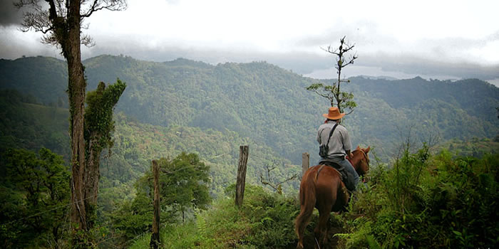 monteverde-tour