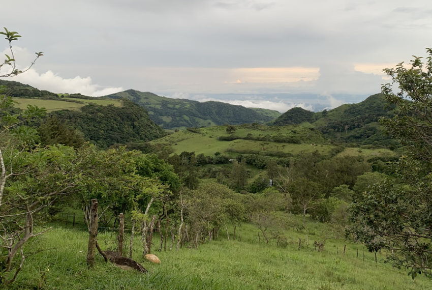 property-ocean-view-monteverde-canitas-3