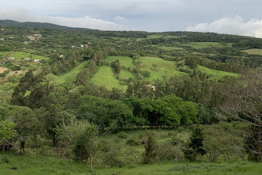 property-ocean-view-monteverde-canitas-5